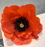 WhatsApp Image 2025 06 08 at 15 04 02