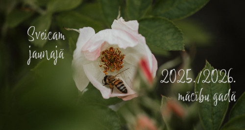 54667956162 b1638d9c16 k